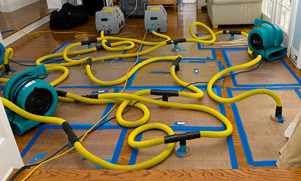 Professional Structural Drying And Dehumidification technician working in Del Valle, TX
